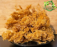 Wildcrafted Sea Moss